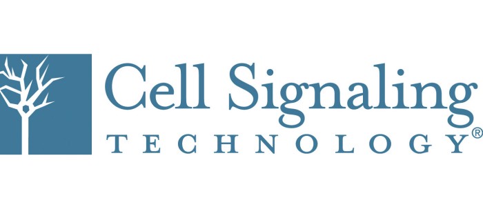CST Alternate Logo-RGB