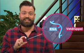 Roy van der Meel UvNL_RvdM